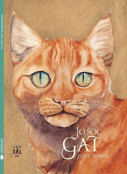 Jo sóc Gat | 9788494245169 | Jackie Morris | Llibres.cat | Llibreria online en català | La Impossible Llibreters Barcelona