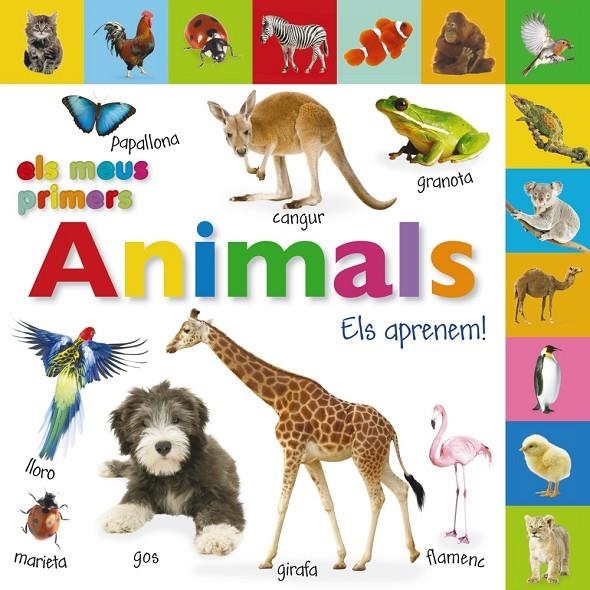 Els meus primers animals. Els aprenem! | 9788499064697 | VV. AA. | Llibres.cat | Llibreria online en català | La Impossible Llibreters Barcelona