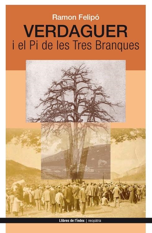 Verdaguer i el Pi de les Tres Branques | 9788494288920 | Felipó Oriol, Ramon | Llibres.cat | Llibreria online en català | La Impossible Llibreters Barcelona