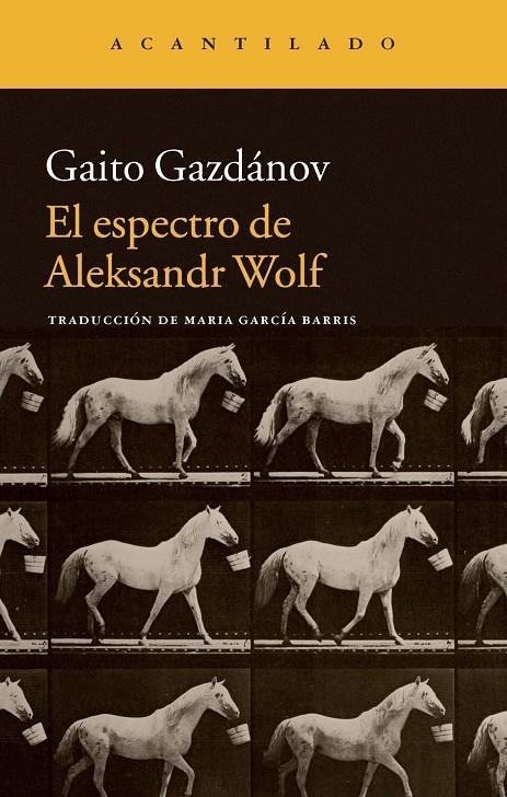 El espectro de Aleksandr Wolf | 9788416011414 | Gazdánov, Gaito/García Barris, María | Llibres.cat | Llibreria online en català | La Impossible Llibreters Barcelona