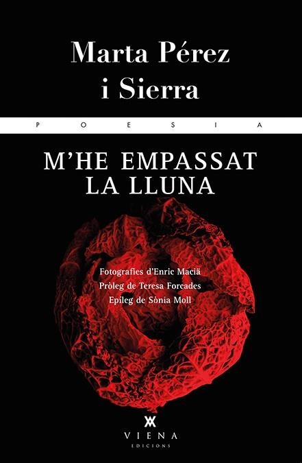 M'he empassat la lluna | 9788483308264 | Pérez i Sierra, Marta | Llibres.cat | Llibreria online en català | La Impossible Llibreters Barcelona