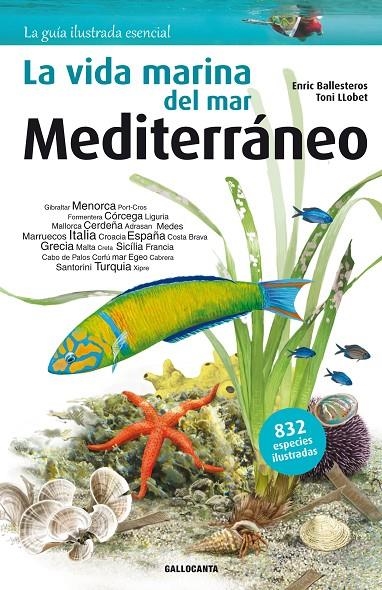 La vida marina del mar Mediterráneo | 9788415885269 | Ballesteros Sagarra, Enric | Llibres.cat | Llibreria online en català | La Impossible Llibreters Barcelona