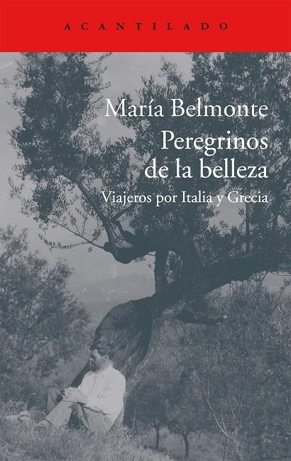 Peregrinos de la belleza | 9788416011513 | Belmonte Barrenechea, María | Llibres.cat | Llibreria online en català | La Impossible Llibreters Barcelona