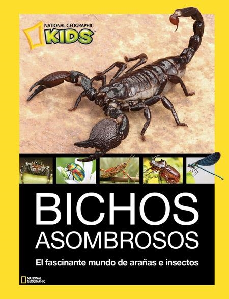 Bichos Asombrosos | 9788482986098 | Varios autores | Llibres.cat | Llibreria online en català | La Impossible Llibreters Barcelona