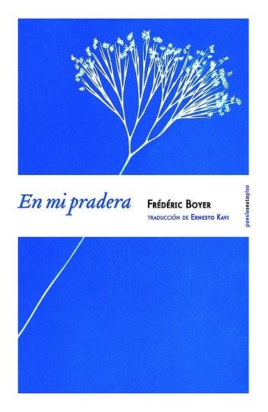 En mi pradera | 9788416358038 | Boyer, Frédéric | Llibres.cat | Llibreria online en català | La Impossible Llibreters Barcelona