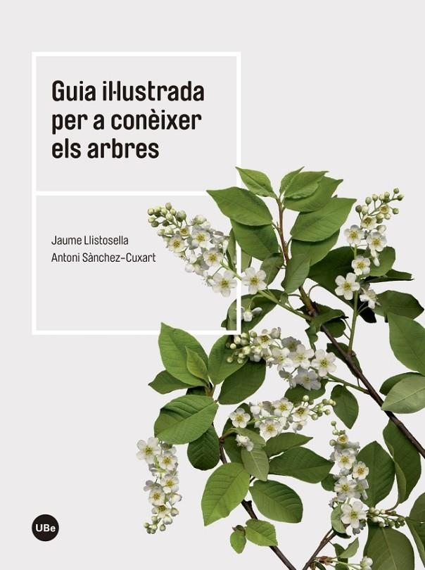 Guia il·lustrada per a conèixer els arbres | 9788447542444 | Llistosella Vidal, Jaume;SÃ nchez Cuxart, Antoni | Llibres.cat | Llibreria online en català | La Impossible Llibreters Barcelona