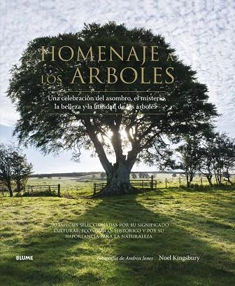 Homenaje a los árboles | 9788416138562 | Kingsbury, Noel/Jones, Andrea | Llibres.cat | Llibreria online en català | La Impossible Llibreters Barcelona