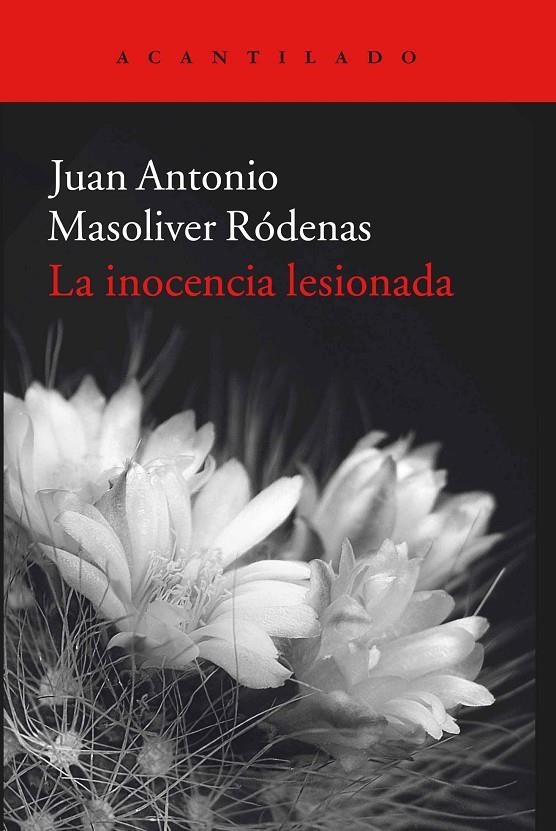 La inocencia lesionada | 9788416011933 | Masoliver Ródenas, Juan Antonio | Llibres.cat | Llibreria online en català | La Impossible Llibreters Barcelona