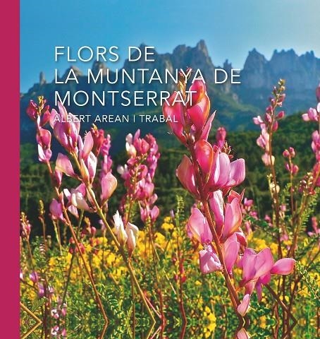 Flors de la muntanya de Montserrat | 9788498838305 | Arean i Trabal, Albert | Llibres.cat | Llibreria online en català | La Impossible Llibreters Barcelona