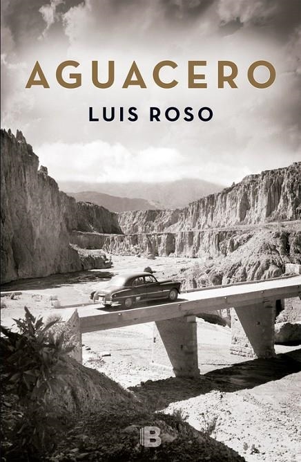 Aguacero | 9788466659215 | Roso, Luis | Llibres.cat | Llibreria online en català | La Impossible Llibreters Barcelona