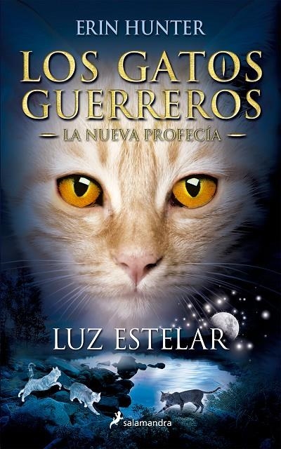 Luz estelar | 9788498387438 | Hunter, Erin | Llibres.cat | Llibreria online en català | La Impossible Llibreters Barcelona