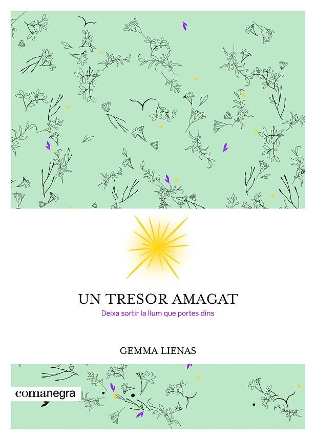 Un tresor amagat | 9788416605347 | Lienas Massot, Gemma | Llibres.cat | Llibreria online en català | La Impossible Llibreters Barcelona