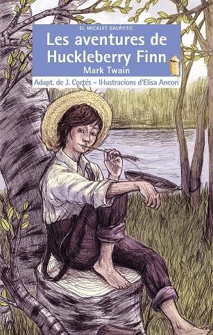 Les aventures de Huckleberry Finn | 9788490266045 | Twain, Mark | Llibres.cat | Llibreria online en català | La Impossible Llibreters Barcelona