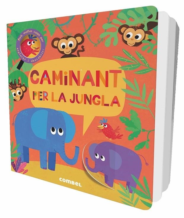 Caminant per la jungla | 9788491011439 | Litton, Jonathan | Llibres.cat | Llibreria online en català | La Impossible Llibreters Barcelona