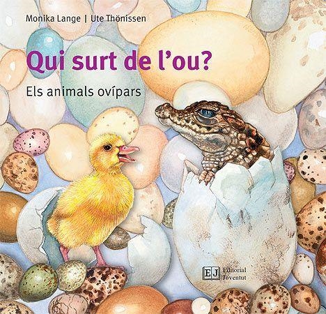 Qui surt de l'ou? | 9788426144096 | Lange, Monika | Llibres.cat | Llibreria online en català | La Impossible Llibreters Barcelona