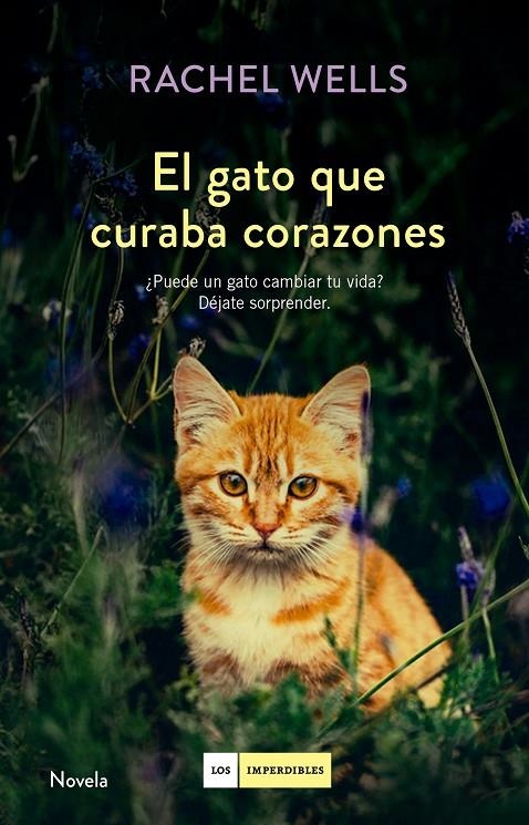 El gato que curaba corazones | 9788416634477 | Wells, Rachel | Llibres.cat | Llibreria online en català | La Impossible Llibreters Barcelona