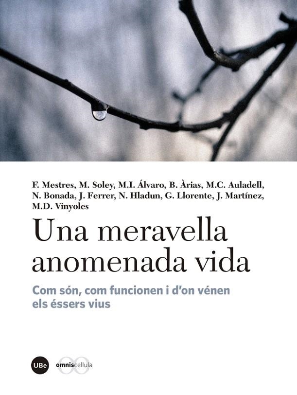 Una meravella anomenada vida | 9788447540310 | Varios autores | Llibres.cat | Llibreria online en català | La Impossible Llibreters Barcelona