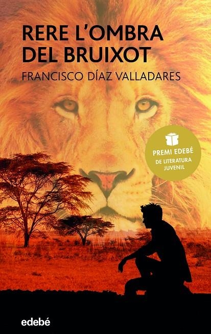 Rere l'ombra del bruixot | 9788468333137 | Diaz Valladares, Francisco | Llibres.cat | Llibreria online en català | La Impossible Llibreters Barcelona