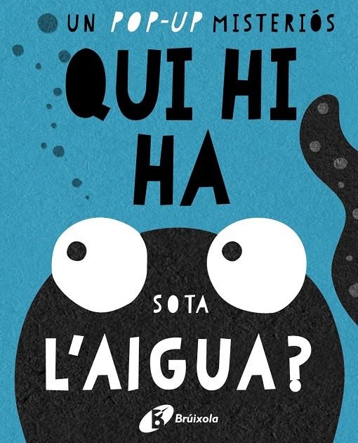 Qui hi ha sota l'aigua? | 9788499067667 | Llibres.cat | Llibreria online en català | La Impossible Llibreters Barcelona