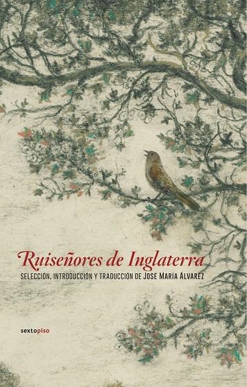 Ruiseñores de Inglaterra | 9788416677498 | Varios autores | Llibres.cat | Llibreria online en català | La Impossible Llibreters Barcelona