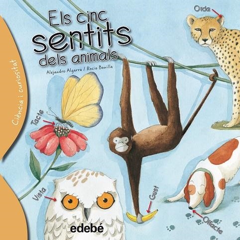 Els cinc sentits dels animals | 9788468329635 | Algarra Pujante, Alejandro | Llibres.cat | Llibreria online en català | La Impossible Llibreters Barcelona