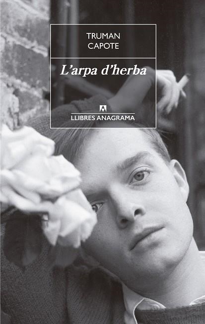 L'arpa d'herba | 9788433915481 | Capote, Truman | Llibres.cat | Llibreria online en català | La Impossible Llibreters Barcelona