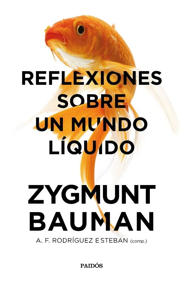 Reflexiones sobre un mundo líquido | 9788449333774 | Bauman, Zygmunt/Rodríguez Esteban, Antonio Francisco | Llibres.cat | Llibreria online en català | La Impossible Llibreters Barcelona