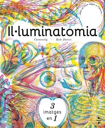 IL ·LUMINATOMIA | 9788466143240 | Carnovsky,/Davies, Kate | Llibres.cat | Llibreria online en català | La Impossible Llibreters Barcelona