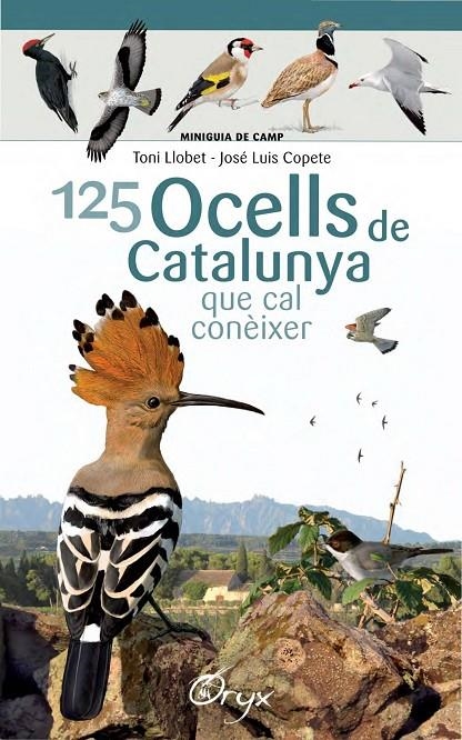 125 ocells de Catalunya | 9788490346747 | Llobet François, Toni/Copete, José Luis | Llibres.cat | Llibreria online en català | La Impossible Llibreters Barcelona