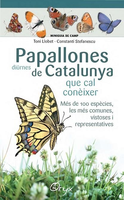 Papallones diürnes de Catalunya | 9788490346754 | Llobet François, Toni/Stefanescu, Constantí | Llibres.cat | Llibreria online en català | La Impossible Llibreters Barcelona