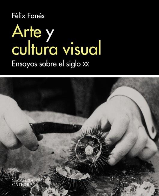 Arte y cultura visual | 9788437638058 | Fanés, Fèlix | Llibres.cat | Llibreria online en català | La Impossible Llibreters Barcelona