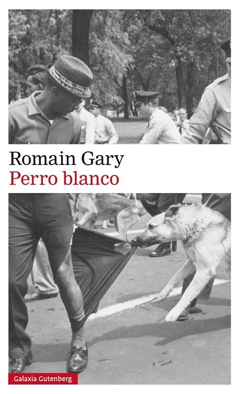 Perro blanco | 9788417355586 | Gary, Romain | Llibres.cat | Llibreria online en català | La Impossible Llibreters Barcelona