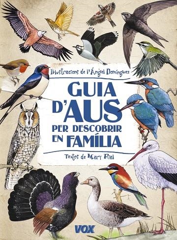 Guia d'aus per descobrir en familia | 9788499740881 | Domínguez Gazpio, Ángel | Llibres.cat | Llibreria online en català | La Impossible Llibreters Barcelona