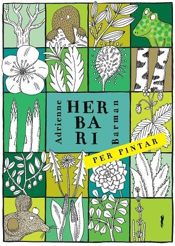 Herbari per pintar | 9788494990427 | Barman, Adrianne | Llibres.cat | Llibreria online en català | La Impossible Llibreters Barcelona