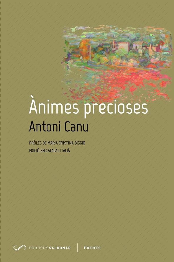 Ànimes precioses | 9788417611149 | Canu, Antoni | Llibres.cat | Llibreria online en català | La Impossible Llibreters Barcelona