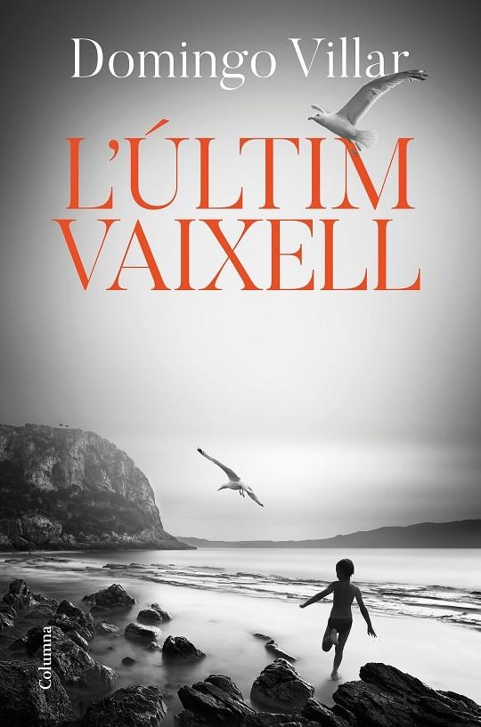 L'últim vaixell | 9788466425490 | Villar, Domingo | Llibres.cat | Llibreria online en català | La Impossible Llibreters Barcelona