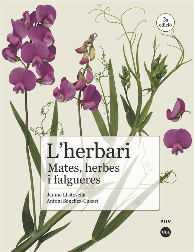 L'herbari: mates, herbes i falgueres | 9788491682981 | Sànchez Cuxart, Antoni/Llistosella Vidal, Jaume | Llibres.cat | Llibreria online en català | La Impossible Llibreters Barcelona