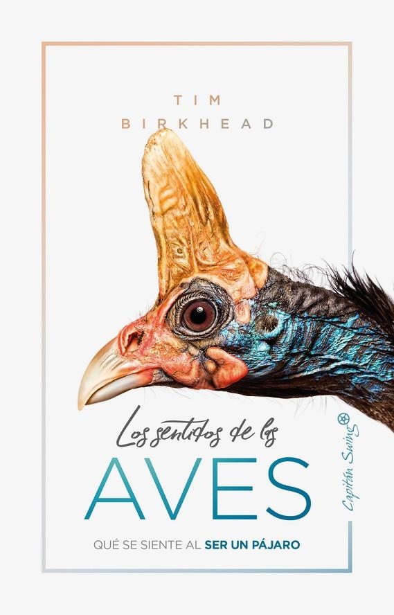 Los sentidos de las aves | 9788412064506 | Birkhead, Tim | Llibres.cat | Llibreria online en català | La Impossible Llibreters Barcelona