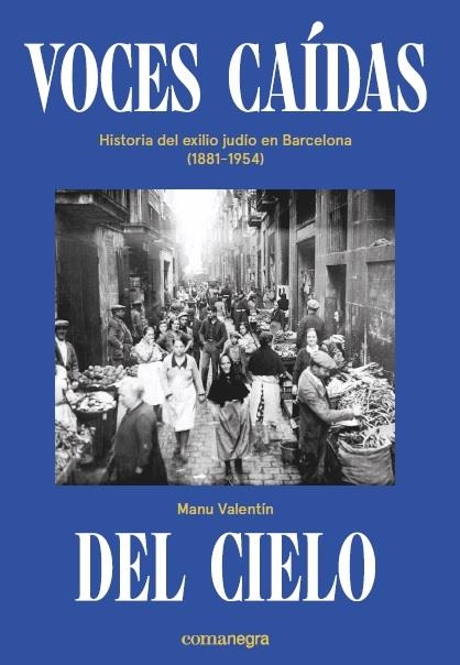 Voces caídas del cielo | 9788418022036 | Valentín, Manu | Llibres.cat | Llibreria online en català | La Impossible Llibreters Barcelona