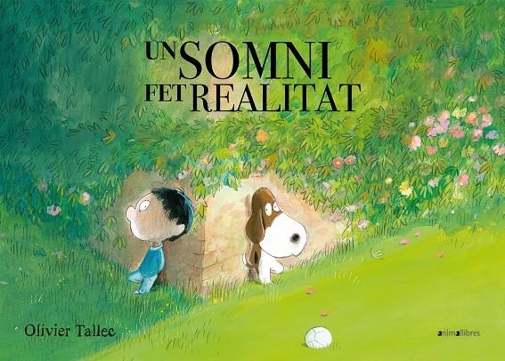 Un somni fet realitat | 9788417599324 | Tallec, Olivier | Llibres.cat | Llibreria online en català | La Impossible Llibreters Barcelona