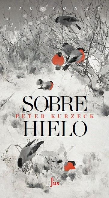 Sobre hielo | 9788417893941 | Kurzeck, Peter | Llibres.cat | Llibreria online en català | La Impossible Llibreters Barcelona