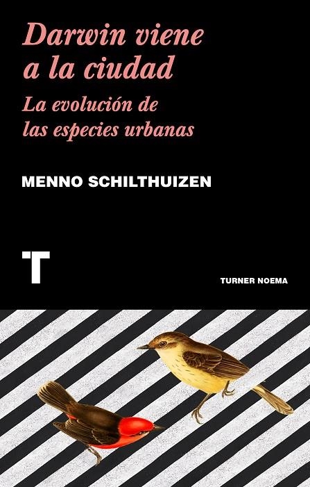 Darwin viene a la ciudad | 9788417141752 | Schilthuizen, Menno | Llibres.cat | Llibreria online en català | La Impossible Llibreters Barcelona