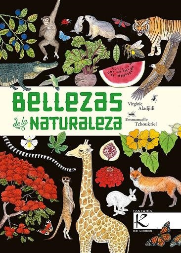 Bellezas de la naturaleza | 9788416721474 | Aladjidi, Virginie | Llibres.cat | Llibreria online en català | La Impossible Llibreters Barcelona