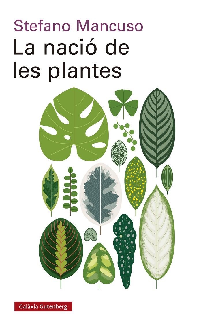 La nació de les plantes | 9788417971564 | Mancuso, Stefano | Llibres.cat | Llibreria online en català | La Impossible Llibreters Barcelona