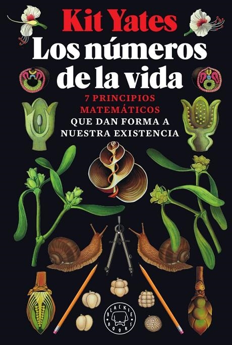 Los números de la vida | 9788417552947 | Yates, Kit | Llibres.cat | Llibreria online en català | La Impossible Llibreters Barcelona