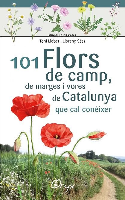 101 flors de camp, de marges i vores de Catalunya | 9788490348413 | Llobet François , Toni/Sàez Goñalons , Llorenç | Llibres.cat | Llibreria online en català | La Impossible Llibreters Barcelona