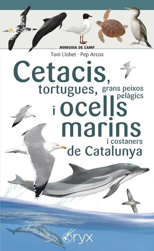 Cetacis, tortugues, grans peixos pelàgics i ocells marins de Catalunya | 9788490349441 | Llobet François , Toni/Arcos xx, Pep | Llibres.cat | Llibreria online en català | La Impossible Llibreters Barcelona