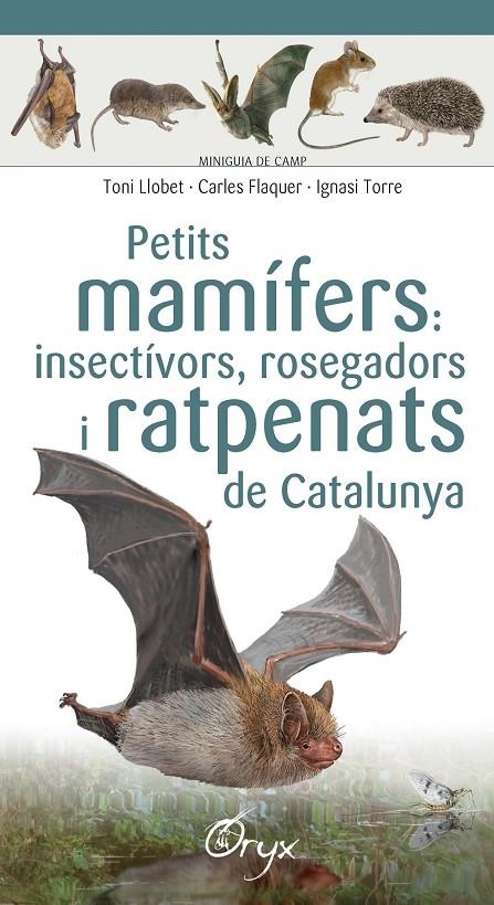 Petits mamífers: insectívors, rosegadors i ratpenats de Catalunya | 9788490348956 | Llobet François , Toni/Flaquer XX, Carles/Torre XX, Ignasi | Llibres.cat | Llibreria online en català | La Impossible Llibreters Barcelona