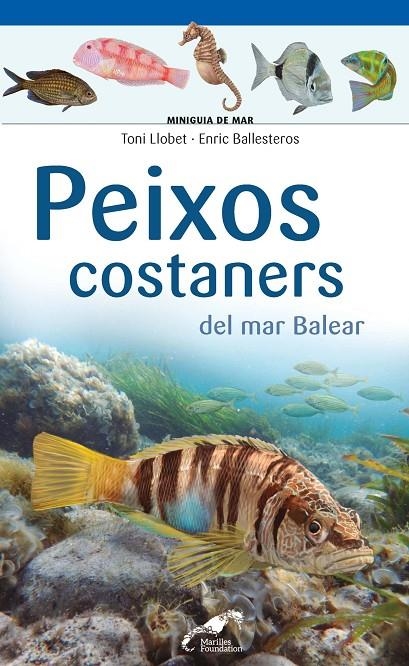 Peixos costaners del mar Balear | 9788490349403 | Llobet François , Toni/Ballesteros Sagarra , Enric | Llibres.cat | Llibreria online en català | La Impossible Llibreters Barcelona