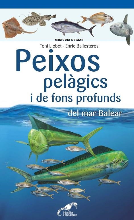 Peixos pelàgics i de fons profunds del mar Balear | 9788490349397 | Llobet François, Toni/Ballesteros Sagarra, Enric | Llibres.cat | Llibreria online en català | La Impossible Llibreters Barcelona